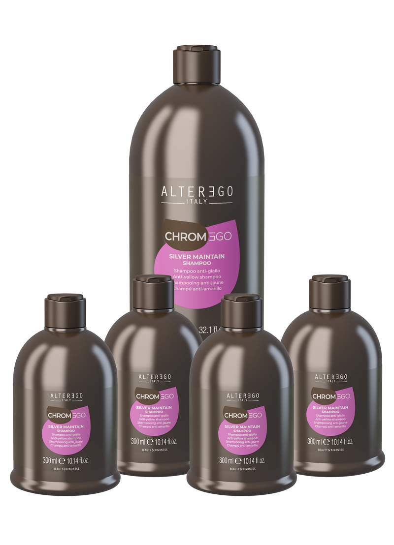 SILVER MAINTAIN BUY 4 GET 1